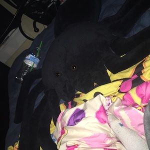 Black spider stuffed animal